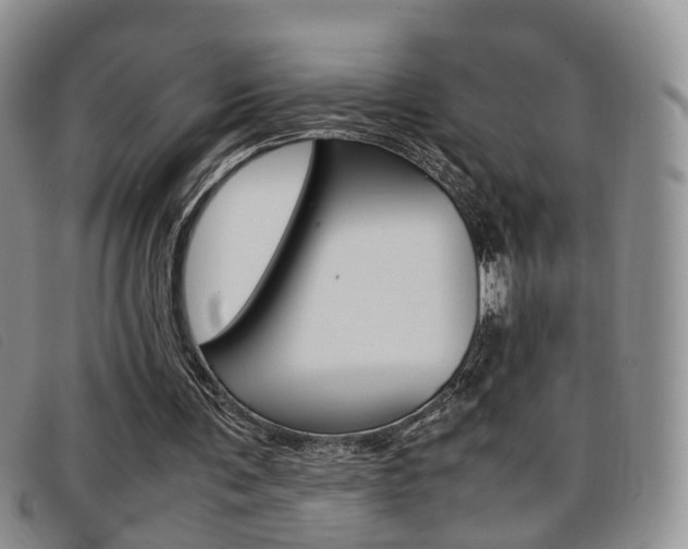 X0000096730291200802051135