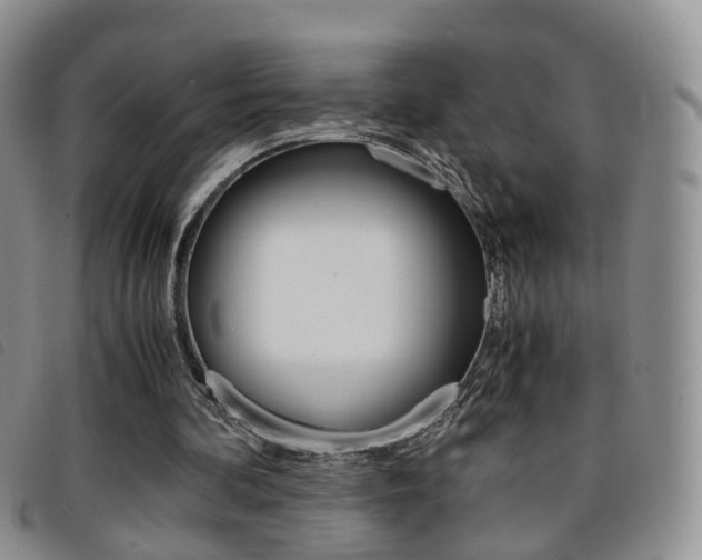 X0000096730292200802051135