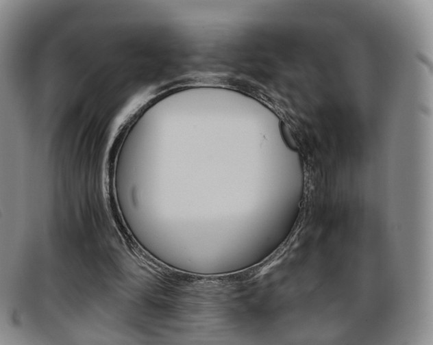 X0000096730294200802051135