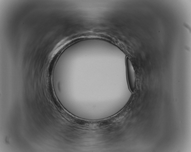X0000096730295200802051135