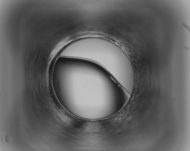 X0000096730296200802051135