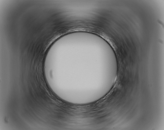 X0000096730297200802051135