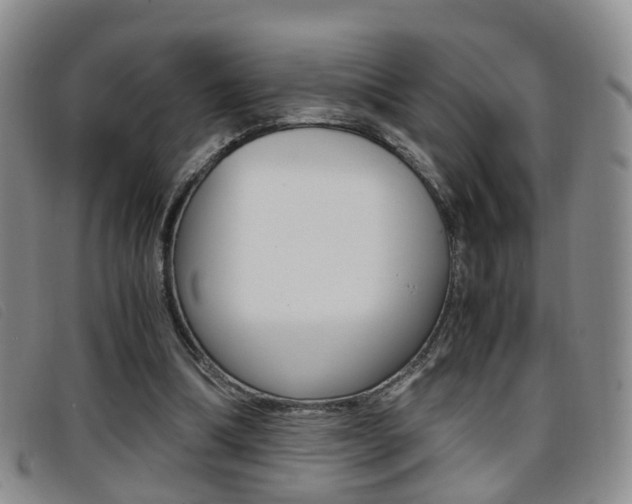 X0000096730298200802051135