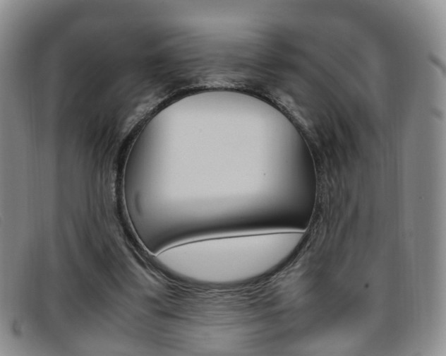 X0000096730299200802051135