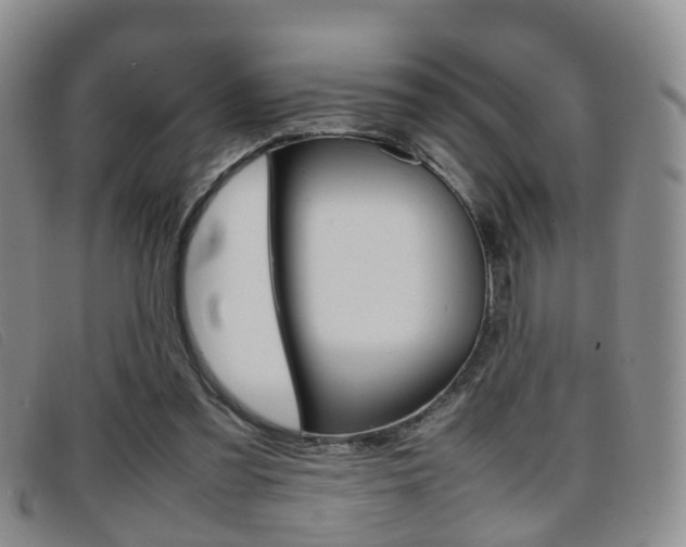 X0000096730301200802051135