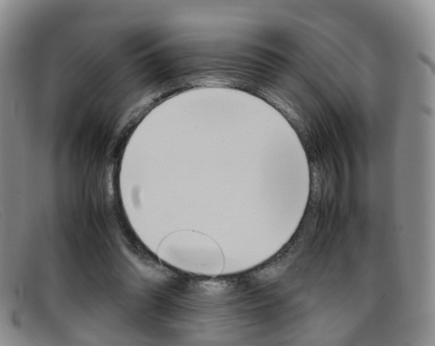 X0000096730302200802051135