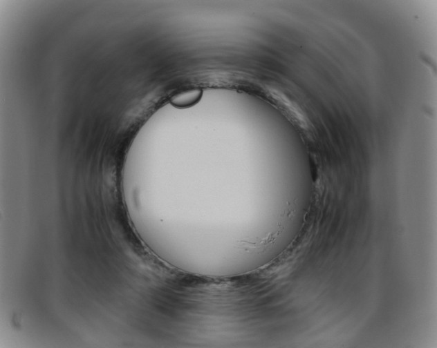 X0000096730306200802051135