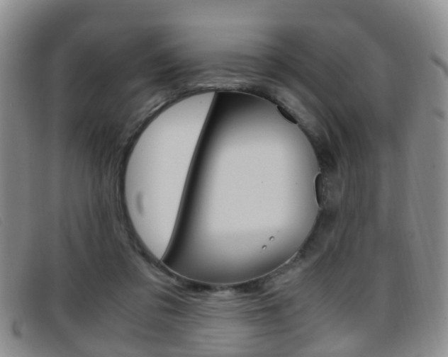 X0000096730309200802051135