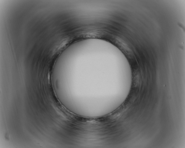 X0000096730310200802051135