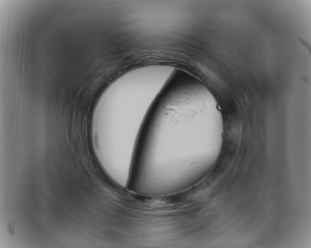 X0000096730315200802051135