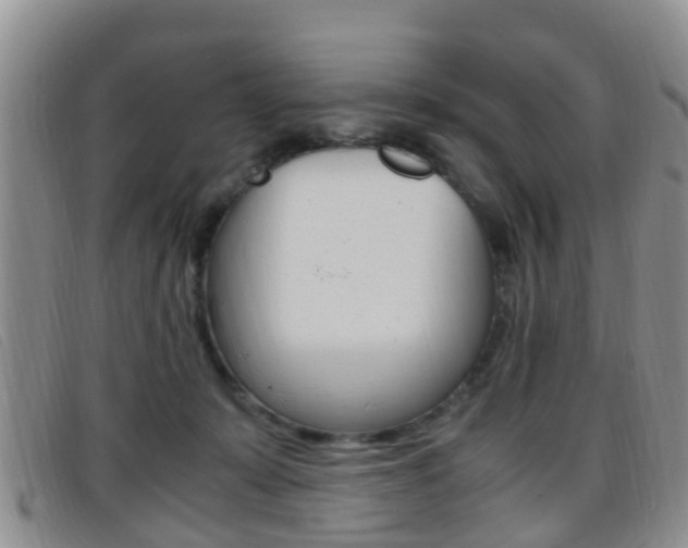 X0000096730319200802051135