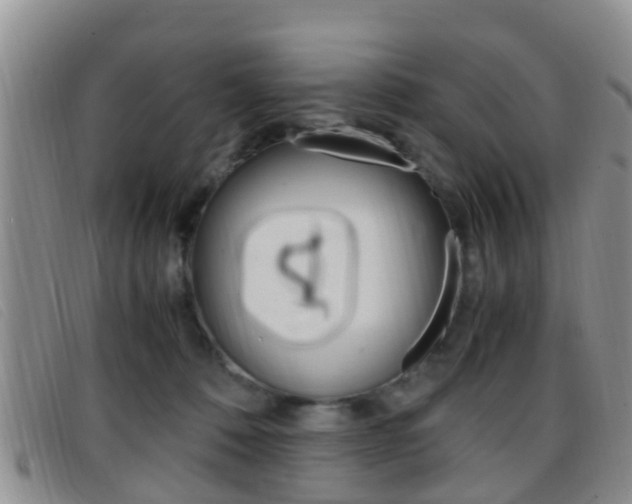 X0000096730320200802051135