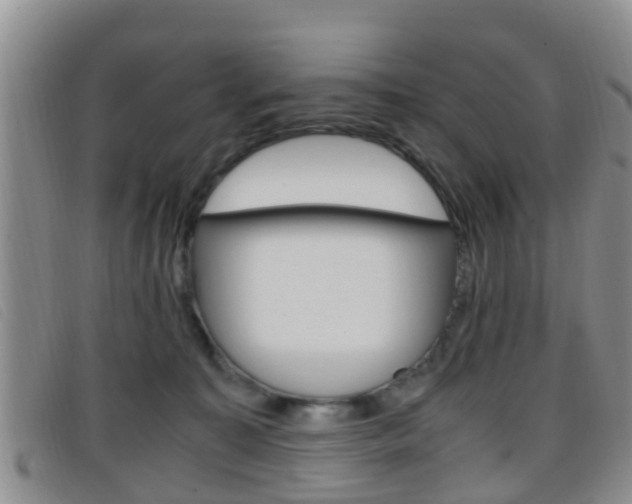 X0000096730323200802051135