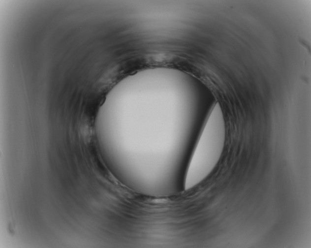 X0000096730324200802051135