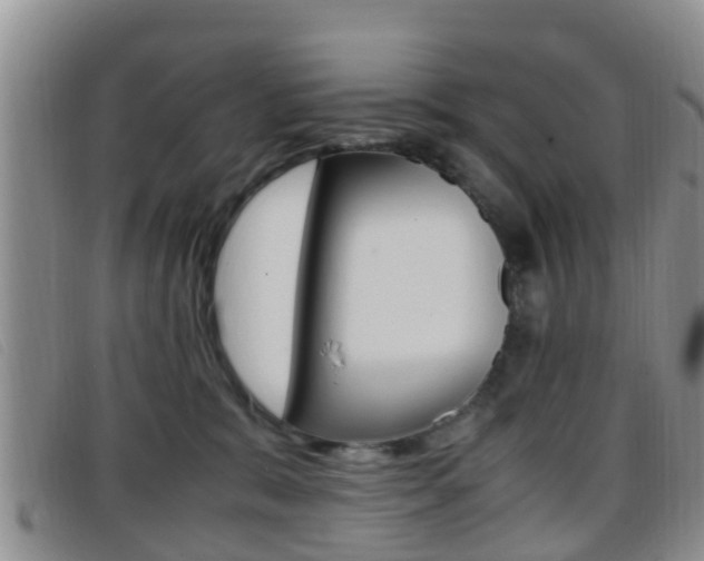 X0000096730327200802051135