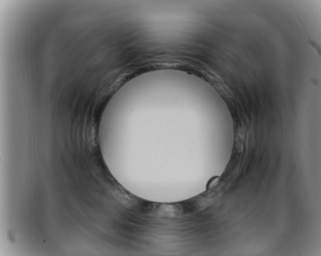 X0000096730330200802051135