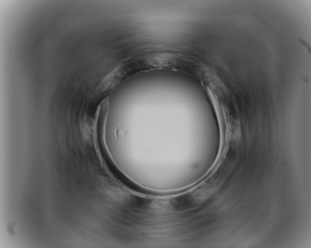 X0000096730332200802051135