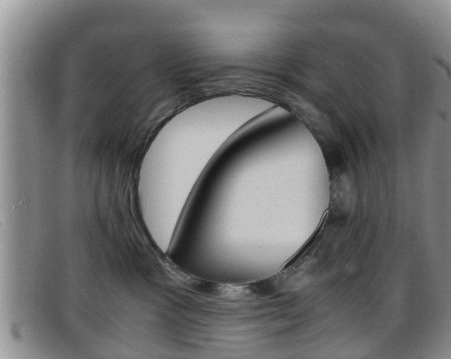 X0000096730333200802051135