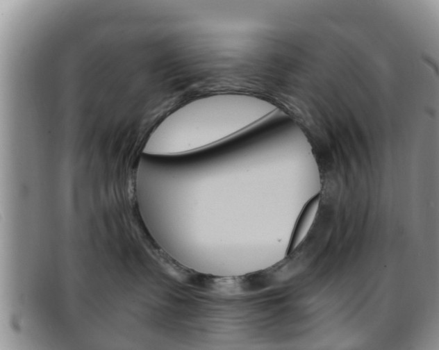 X0000096730335200802051135