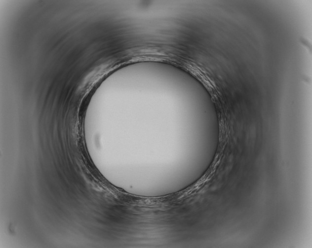 X0000096730338200802051134