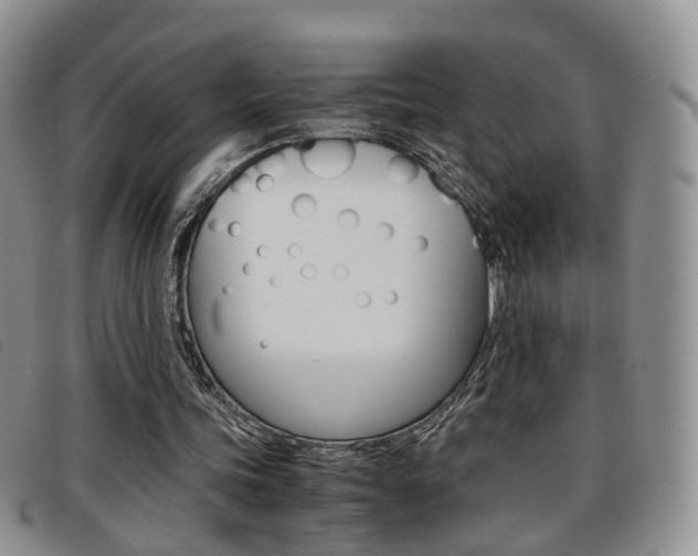 X0000096730339200802051134