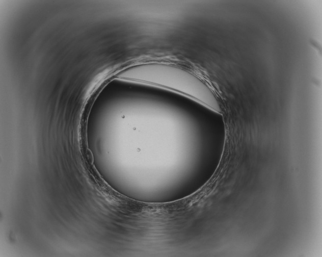 X0000096730340200802051134