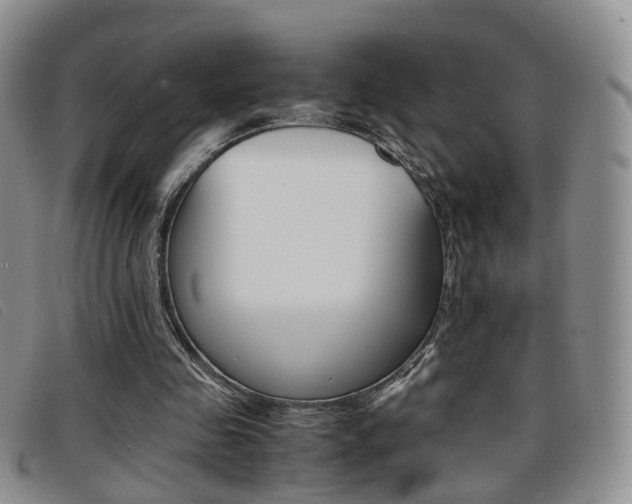 X0000096730341200802051134