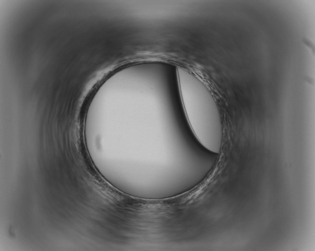 X0000096730342200802051134