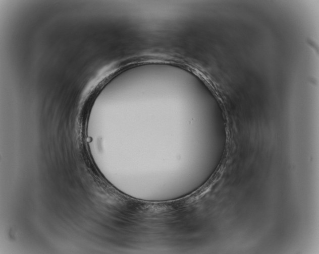 X0000096730343200802051134