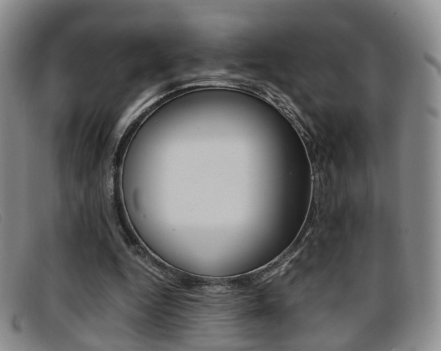 X0000096730344200802051134