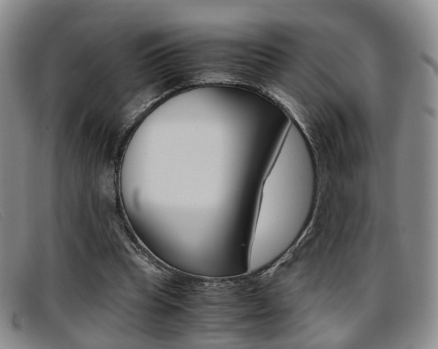 X0000096730345200802051134
