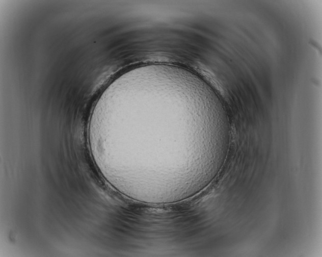 X0000096730347200802051134