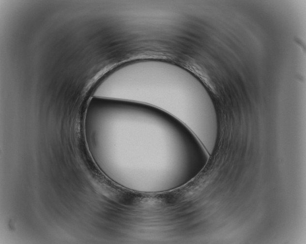 X0000096730348200802051134