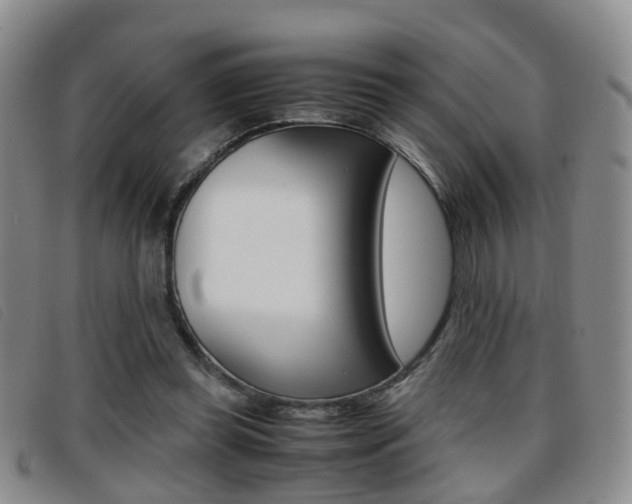 X0000096730349200802051134
