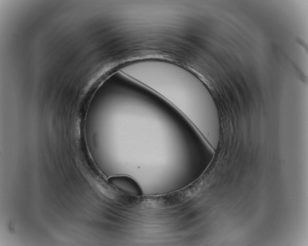 X0000096730350200802051134
