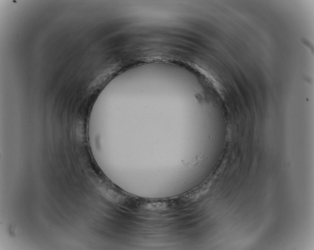X0000096730353200802051134