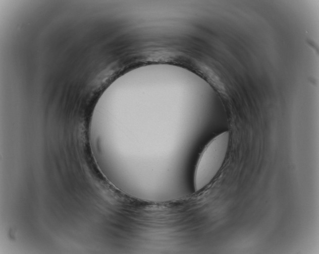 X0000096730354200802051134
