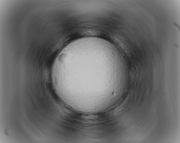 X0000096730359200802051134