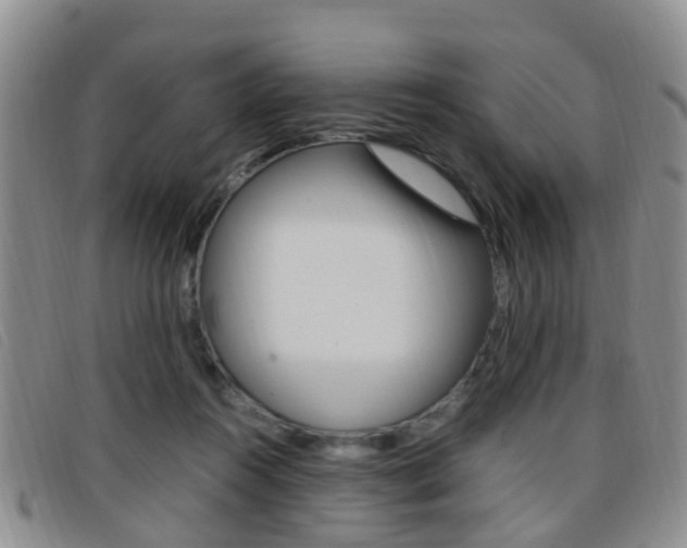 X0000096730360200802051134