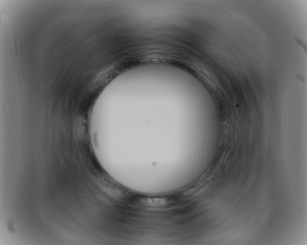 X0000096730361200802051134