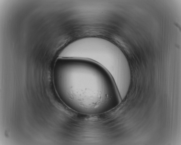 X0000096730362200802051134