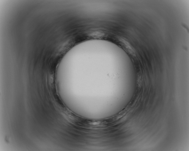 X0000096730365200802051134