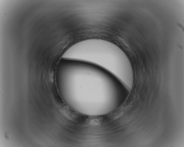 X0000096730368200802051134