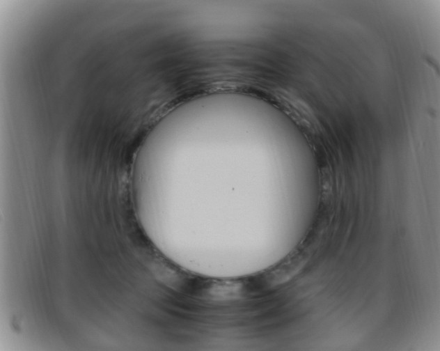 X0000096730369200802051134