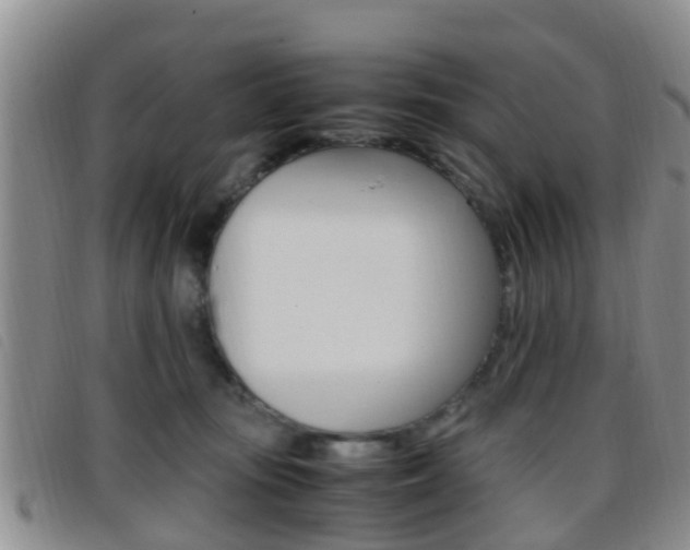 X0000096730371200802051134