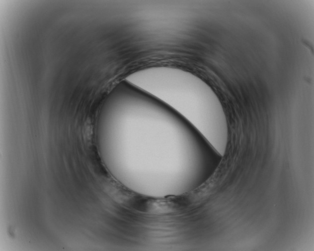 X0000096730372200802051134