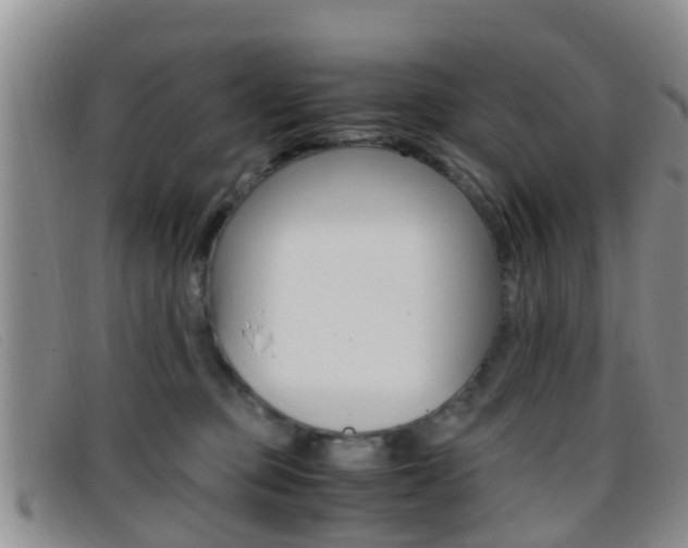X0000096730373200802051134