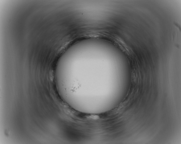 X0000096730374200802051134