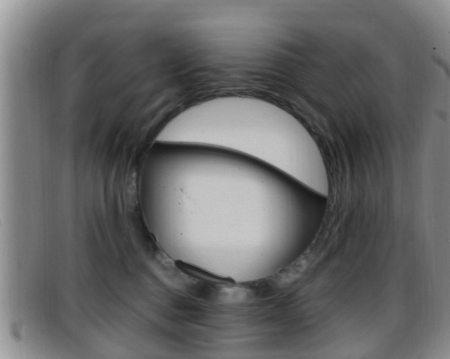X0000096730376200802051134