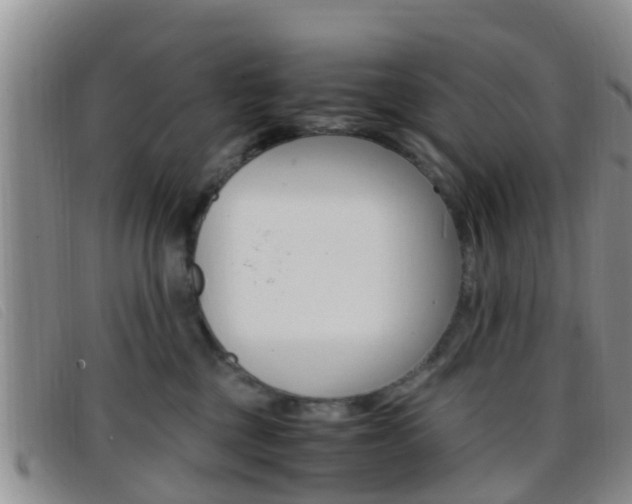 X0000096730377200802051134